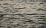 en_big_071103-Abaco-Purka-tailing2.html