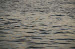 en_big_071103-Abaco-Purka-tailing3.html