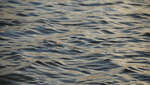 en_big_071103-Abaco-Purka-tailing4.html