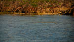 en_big_071110-Abaco-cays-last-tailer2.html