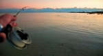 big_071203-Abaco-dumpa-more8-fight.html