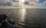 bonefish