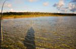 big_071203-Abaco-purka-inner2.html