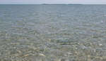 en_big_080216-bahamas-abaco-Purka-fishon2.html