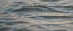 en_big_080217-bahamas-abaco-Dumpa-tailers6.html