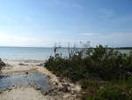 big_080220-bahamas-abaco-dumpa-tide.html