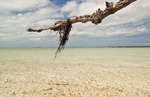 big_080221-bahamas-abaco-purka-stoloya.html