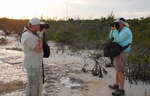 big_080223-bahamas-abaco-photo-whores-LJ.html