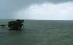 big_080223-bahamas-abaco-purka-rain.html