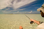 big_080224-bahamas-abaco-purka-casting.html