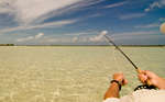 big_080224-bahamas-abaco-purka-casting2.html