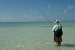 big_080226-bahamas-abaco-ocean-figen2-LJ.html