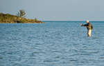big_080229-bahamas-abaco-dumpa-tail5.html