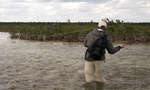 big_080229-bahamas-abaco-purka-tail2.html