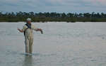 big_080301-bahamas-abaco-dumpa-dariusz4.html