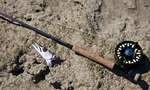 big_080302-bahamas-abaco-cuda-head-DB.html