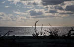 big_080302-bahamas-abaco-figen2-DB.html