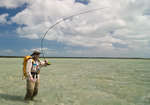 big_080303-bahamas-abaco-purka-KnutJohan2.html
