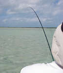 big_080303-bahamas-abaco-purka-figen2-SR.html