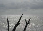 big_080304-bahamas-abaco-purka-drittvaer2.html