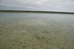 big_081201-bahamas-abaco-gloom4.html