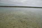 big_081201-bahamas-abaco-gloom4.html