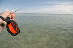 big_081202-bahamas-abaco-fish-on2.html