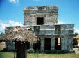 big_990403-mexico-tulum-forste.html