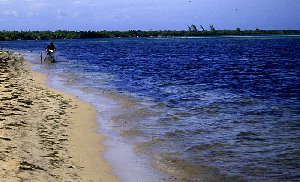 big_010218-mexico-cozumel-julern_moped.html