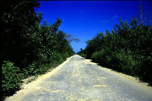 big_010218-mexico-cozumel-magic_road.html