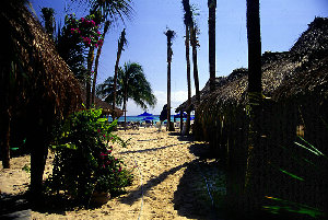 big_010219-mexico-playa-corto_maltes2.html