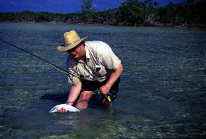 big_010220-mexico-punta_allen-figen_bone.html