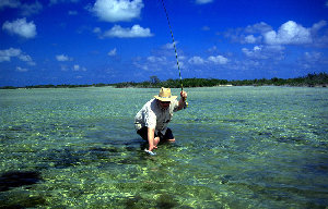 big_010220-mexico-punta_allen-figen_firstbone6.html