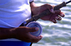 big_010220-mexico-punta_allen-willy_playing.html