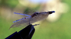 big_010222-mexico-punta_allen-fly_shrimp2.html