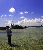 big_010222-mexico-punta_allen-julern_bone.html