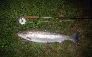 big_010803-rauma-aure.html