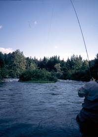 en_big_020117-new_zealand-rangitaiki-figen-kjorer2.html