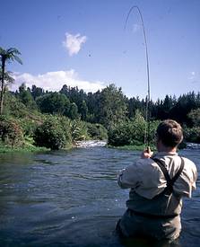 en_big_020117-new_zealand-rangitaiki-figen-kjorer5.html