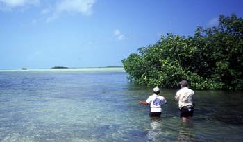 en_big_020303-mexico-punta_allen-dariusz-snapper.html