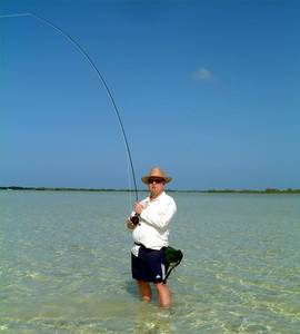 en_big_020303-mexico-punta_allen-figen-fisk.html