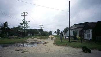 big_020304-mexico-punta_allen-el_perro_tranquilo.html