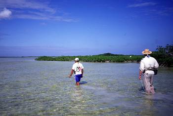 big_020306-mexico-punta_allen-dariusz_laguna.html