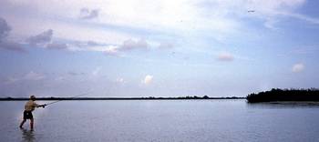 en_big_020306-mexico-punta_allen-lagune-dariusz.html