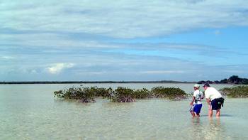 big_020306-mexico-punta_allen-lagune-figen-potro-scouting-DB.html