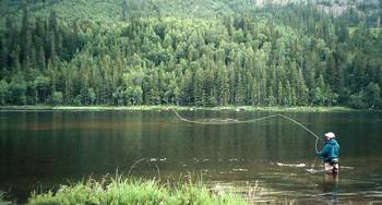 en_big_020702-Trysil-Svingen-Paal.html