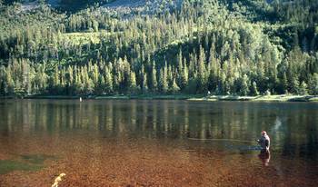 big_020709-Trysil-Dariusz2.html