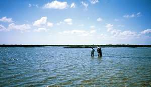 big_030208-Mexico-Ascension_Bay-Dariusz_Gaspar2.html