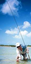 big_030208-Mexico-Ascension_Bay-Dariusz_small-bone.html