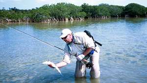 big_030208-Mexico-Ascension_Bay-Dariusz_small-bone2.html